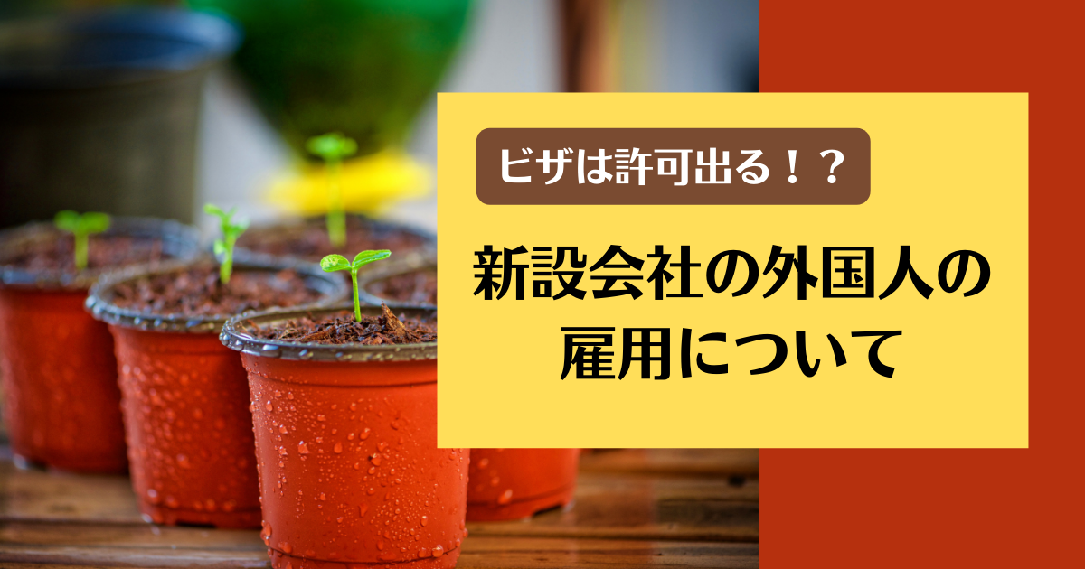 【ビザは許可出る！？】新設会社の外国人の雇用について